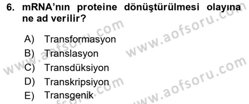 Fitopatoloji Dersi 2017 - 2018 Yılı (Vize) Ara Sınav Soruları 6. Soru
