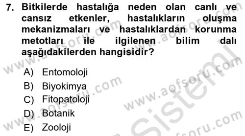 Fitopatoloji Dersi 2017 - 2018 Yılı (Vize) Ara Sınav Soruları 7. Soru