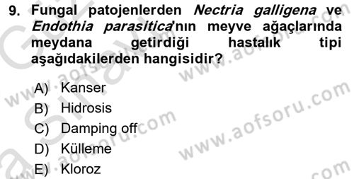 Fitopatoloji Dersi 2017 - 2018 Yılı (Vize) Ara Sınav Soruları 9. Soru