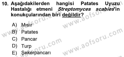 Fitopatoloji Dersi 2017 - 2018 Yılı (Final) Dönem Sonu Sınav Soruları 10. Soru