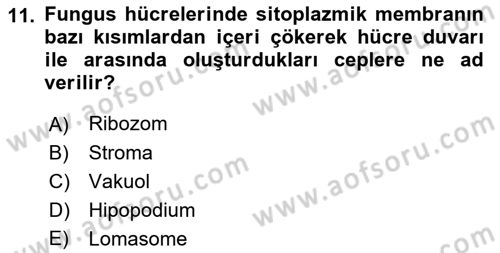 Fitopatoloji Dersi 2017 - 2018 Yılı (Final) Dönem Sonu Sınav Soruları 11. Soru