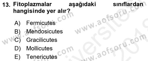 Fitopatoloji Dersi 2017 - 2018 Yılı (Final) Dönem Sonu Sınav Soruları 13. Soru