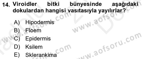 Fitopatoloji Dersi 2017 - 2018 Yılı (Final) Dönem Sonu Sınav Soruları 14. Soru