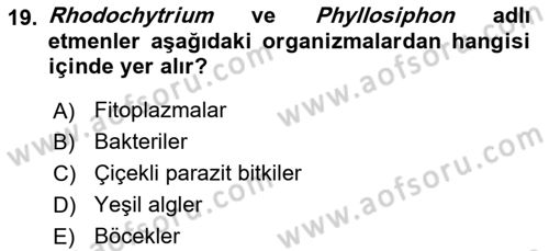 Fitopatoloji Dersi 2017 - 2018 Yılı (Final) Dönem Sonu Sınav Soruları 19. Soru