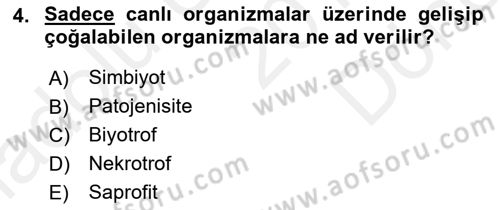 Fitopatoloji Dersi 2017 - 2018 Yılı (Final) Dönem Sonu Sınav Soruları 4. Soru