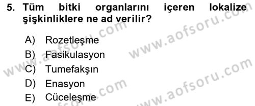 Fitopatoloji Dersi 2017 - 2018 Yılı (Final) Dönem Sonu Sınav Soruları 5. Soru