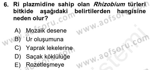 Fitopatoloji Dersi 2017 - 2018 Yılı (Final) Dönem Sonu Sınav Soruları 6. Soru