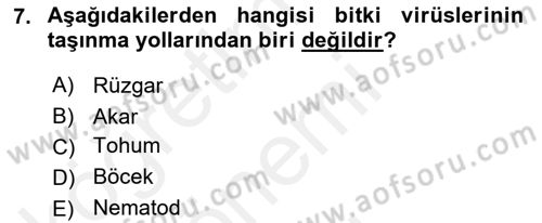 Fitopatoloji Dersi 2017 - 2018 Yılı (Final) Dönem Sonu Sınav Soruları 7. Soru