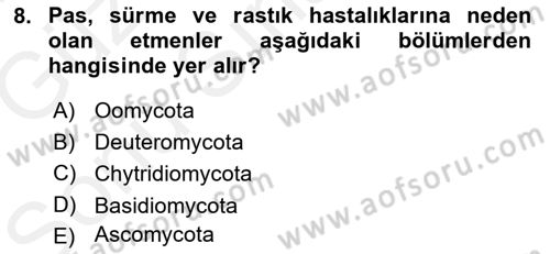 Fitopatoloji Dersi 2017 - 2018 Yılı (Final) Dönem Sonu Sınav Soruları 8. Soru