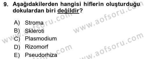 Fitopatoloji Dersi 2017 - 2018 Yılı (Final) Dönem Sonu Sınav Soruları 9. Soru