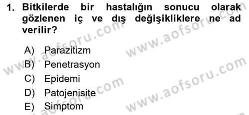 Fitopatoloji Dersi 2018 - 2019 Yılı 3 Ders Sınav Soruları 1. Soru
