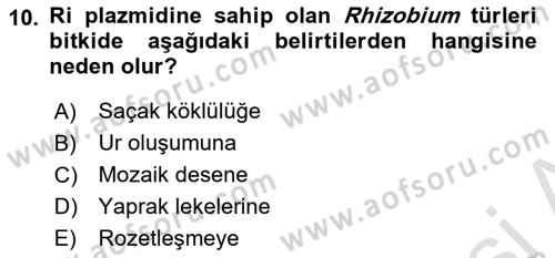 Fitopatoloji Dersi 2018 - 2019 Yılı 3 Ders Sınav Soruları 10. Soru