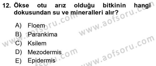 Fitopatoloji Dersi 2018 - 2019 Yılı 3 Ders Sınav Soruları 12. Soru