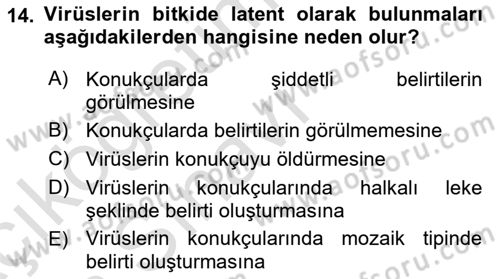 Fitopatoloji Dersi 2018 - 2019 Yılı 3 Ders Sınav Soruları 14. Soru