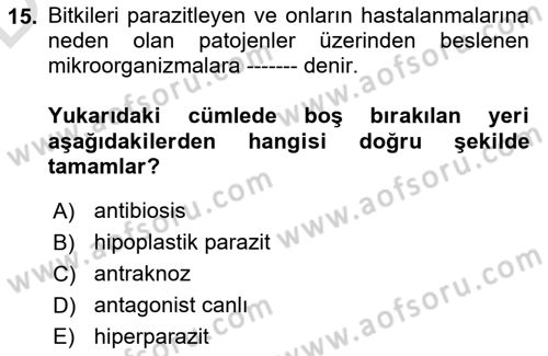 Fitopatoloji Dersi 2018 - 2019 Yılı 3 Ders Sınav Soruları 15. Soru