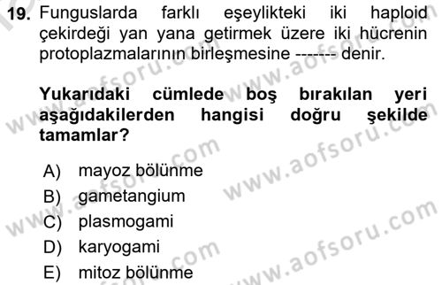 Fitopatoloji Dersi 2018 - 2019 Yılı 3 Ders Sınav Soruları 19. Soru
