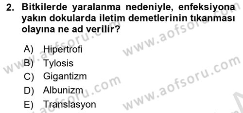 Fitopatoloji Dersi 2018 - 2019 Yılı 3 Ders Sınav Soruları 2. Soru