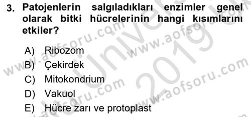Fitopatoloji Dersi 2018 - 2019 Yılı 3 Ders Sınav Soruları 3. Soru