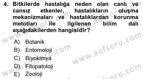 Fitopatoloji Dersi 2018 - 2019 Yılı 3 Ders Sınav Soruları 4. Soru