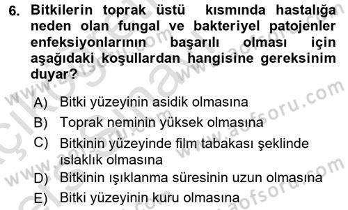 Fitopatoloji Dersi 2018 - 2019 Yılı 3 Ders Sınav Soruları 6. Soru