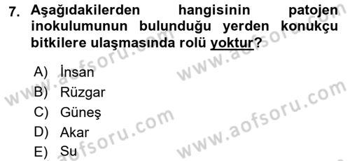 Fitopatoloji Dersi 2018 - 2019 Yılı 3 Ders Sınav Soruları 7. Soru