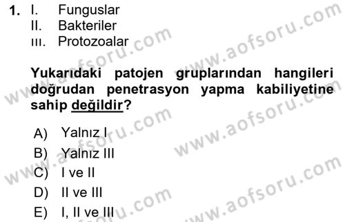 Fitopatoloji Dersi 2018 - 2019 Yılı (Vize) Ara Sınav Soruları 1. Soru