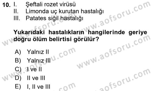 Fitopatoloji Dersi 2018 - 2019 Yılı (Vize) Ara Sınav Soruları 10. Soru