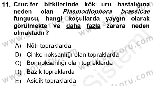 Fitopatoloji Dersi 2018 - 2019 Yılı (Vize) Ara Sınav Soruları 11. Soru