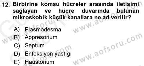 Fitopatoloji Dersi 2018 - 2019 Yılı (Vize) Ara Sınav Soruları 12. Soru