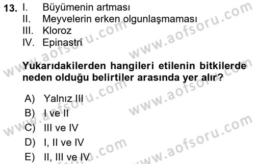 Fitopatoloji Dersi 2018 - 2019 Yılı (Vize) Ara Sınav Soruları 13. Soru