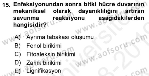 Fitopatoloji Dersi 2018 - 2019 Yılı (Vize) Ara Sınav Soruları 15. Soru