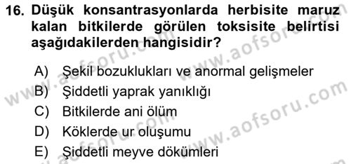Fitopatoloji Dersi 2018 - 2019 Yılı (Vize) Ara Sınav Soruları 16. Soru