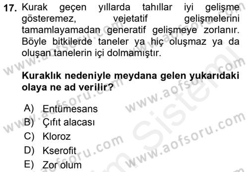 Fitopatoloji Dersi 2018 - 2019 Yılı (Vize) Ara Sınav Soruları 17. Soru
