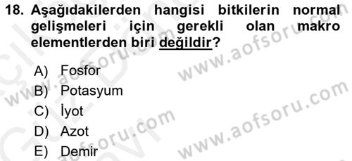 Fitopatoloji Dersi 2018 - 2019 Yılı (Vize) Ara Sınav Soruları 18. Soru