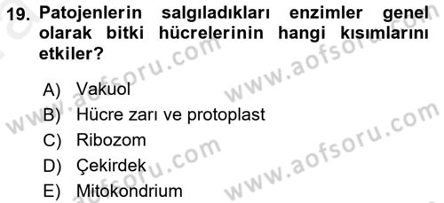 Fitopatoloji Dersi 2018 - 2019 Yılı (Vize) Ara Sınav Soruları 19. Soru