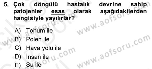 Fitopatoloji Dersi 2018 - 2019 Yılı (Vize) Ara Sınav Soruları 5. Soru