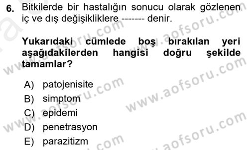 Fitopatoloji Dersi 2018 - 2019 Yılı (Vize) Ara Sınav Soruları 6. Soru
