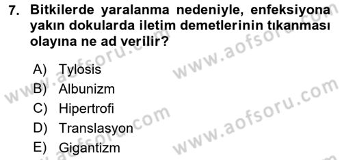 Fitopatoloji Dersi 2018 - 2019 Yılı (Vize) Ara Sınav Soruları 7. Soru