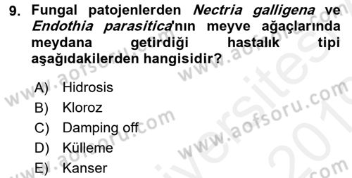 Fitopatoloji Dersi 2018 - 2019 Yılı (Vize) Ara Sınav Soruları 9. Soru