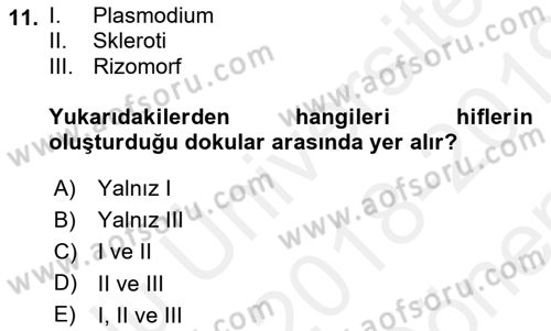 Fitopatoloji Dersi 2018 - 2019 Yılı (Final) Dönem Sonu Sınav Soruları 11. Soru