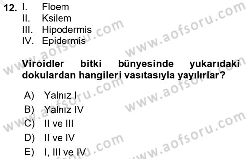 Fitopatoloji Dersi 2018 - 2019 Yılı (Final) Dönem Sonu Sınav Soruları 12. Soru