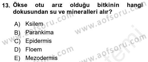 Fitopatoloji Dersi 2018 - 2019 Yılı (Final) Dönem Sonu Sınav Soruları 13. Soru