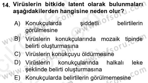 Fitopatoloji Dersi 2018 - 2019 Yılı (Final) Dönem Sonu Sınav Soruları 14. Soru