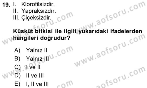 Fitopatoloji Dersi 2018 - 2019 Yılı (Final) Dönem Sonu Sınavı 19. Soru