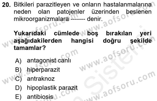 Fitopatoloji Dersi 2018 - 2019 Yılı (Final) Dönem Sonu Sınav Soruları 20. Soru