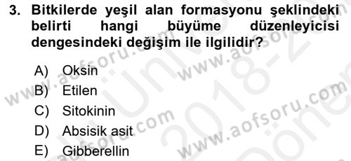 Fitopatoloji Dersi 2018 - 2019 Yılı (Final) Dönem Sonu Sınav Soruları 3. Soru