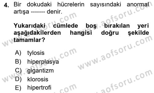 Fitopatoloji Dersi 2018 - 2019 Yılı (Final) Dönem Sonu Sınav Soruları 4. Soru
