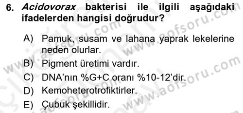 Fitopatoloji Dersi 2018 - 2019 Yılı (Final) Dönem Sonu Sınav Soruları 6. Soru