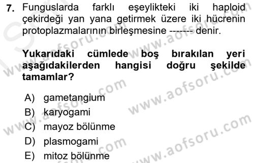 Fitopatoloji Dersi 2018 - 2019 Yılı (Final) Dönem Sonu Sınavı 7. Soru