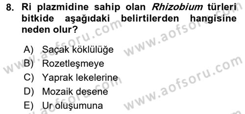 Fitopatoloji Dersi 2018 - 2019 Yılı (Final) Dönem Sonu Sınav Soruları 8. Soru